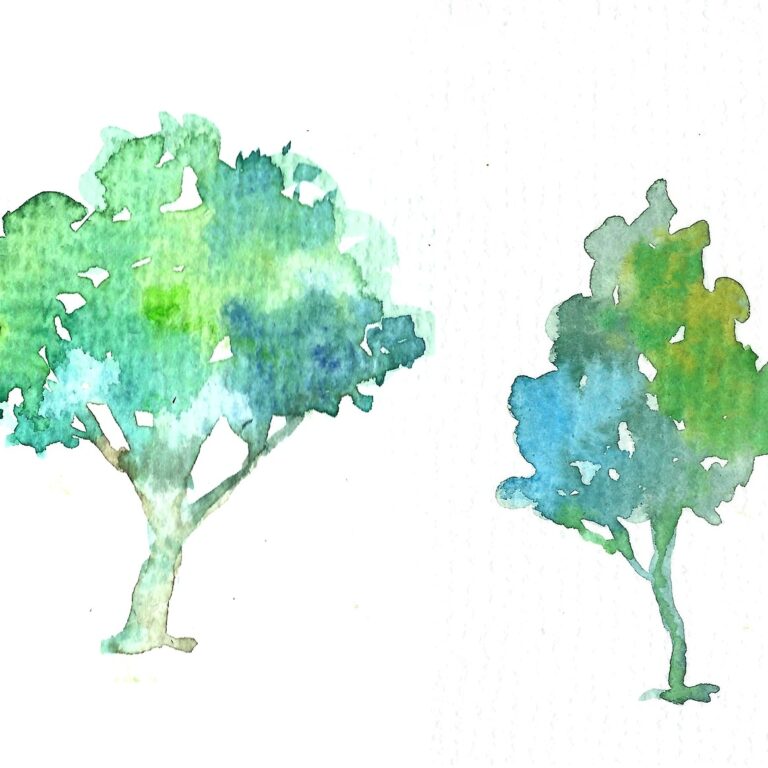 Pauwehof – Aquarelleren dinsdag – nieuw